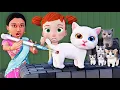 Download Lagu बाढ़ मे बिल्ली के बच्चे 3 | Billi Ke Bachhe | pagal beta | desi comedy video| cs bisht vines