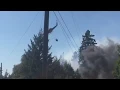 IMG 0655