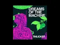 Tinlicker - Awake Conciousness (Extended Mix)