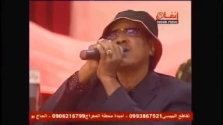 النور الجيلانى فى عز الليل 