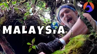 Kuala Lumpur to the Cameron Highlands [Malaysia]