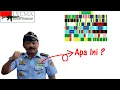 Download Lagu Arti Kotak Warna Warni di Seragam TNI