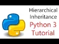 Python Programming - Hierarchical Inheritance