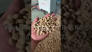 Dog And Cat Food Making Machine Pet Food Processing Machine For Sale Petfood 