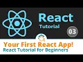 Build Your First React App - Reactjs Tutorial for Beginners