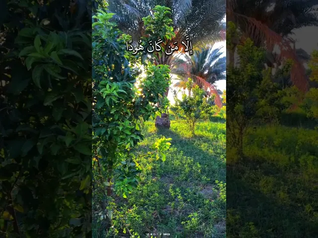 ⁣وَقَالُوا۟ لَن یَدۡخُلَ ٱلۡجَنَّةَ إِلَّا مَن كَانَ هُودًا أَوۡ نَصَـٰرَىٰۗ .|| #محمد_صديق_المنشاوي