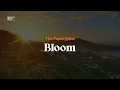 The Paper Kites - Bloom (Karaoke and Lyric | Original key)