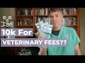 Do you realize what is happening in veterinary medicine now