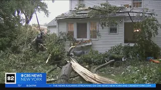 Fast-moving storm leaves trail of destruction through Madison NJ