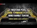 Download Lagu NGERIII..!!!MASTERAN TEMBAKAN FIGHTER || BURUNG BRINJI RAMBUT TUNGGIR !!