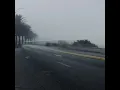 Las medusas no tienen corazon