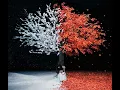 Aimer(エメ) - カタオモイ(5th Anniversary Live ver.)