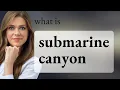 Exploring the Depths Understanding Submarine Canyons