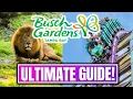 Busch Gardens Tampa Guide Must-Know Tips To Know Before You Visit