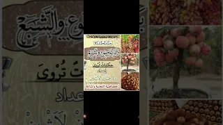 كرم ضيافه قصص اطفال 