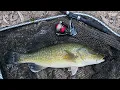 Murray Cod Fishing Basics 5 Murray Cod Fishing Tips To Help You Catch Your First Murray Cod