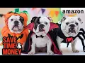 DOG HALLOWEEN COSTUMES Top Picks You Can Find on Amazon