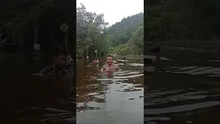                     دندنها