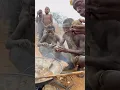 Download Lagu Lunch time with Hadza tribe in the bush