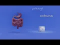 Download Lagu Hoe kan je besmetting met het norovirus voorkomen? Hoe beperk je verspreiding van het norovirus?