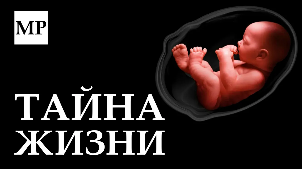 В чём смысл жизни?