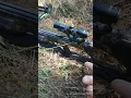 Barnett quad 400 review