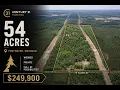 54 Acres W Adams Rd Pentwater MI - Century 21 Trophy Class