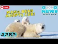 Lagu Mama Bear Adopts Cub \u0026 Christmas Kindness | GOOD NEWS – Infinite Hope #262