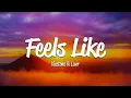 Download Lagu Vicetone - Feels Like (Lyrics) ft. Laur