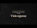 Avishai Cohen Trio - Videogame (from the album "Shifting Sands")