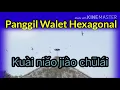 Download Lagu Panggil Walet hexagonal cepat datang