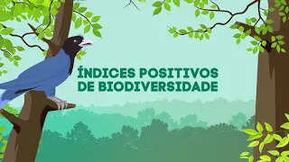 Biodiversidade