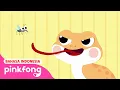 Download Lagu Cicak Cicak di Dinding | Bahasa dan Versi Inggris | Lagu Anak Indonesia | Pinkfong