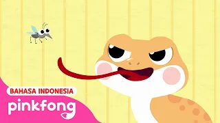 Download Cicak Cicak di Dinding | Bahasa dan Versi Inggris | Lagu Anak Indonesia | Pinkfong MP3