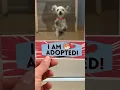 Betty is going home her full vid link above