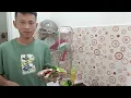 Download Lagu Belanja mingguan|| Dan langsung masak buat makan bersama