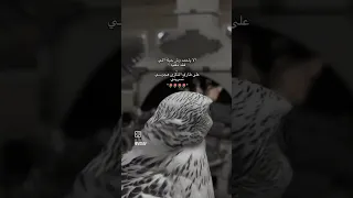 ألا ياحمد وش حيلة اللي فقد مغليه اكسبلور طرب قصيد 