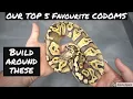 Top 5 Ball Python Genes - INC DOM Editions