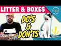 YOU RE DOING CAT LITTER WRONG Here s Why
