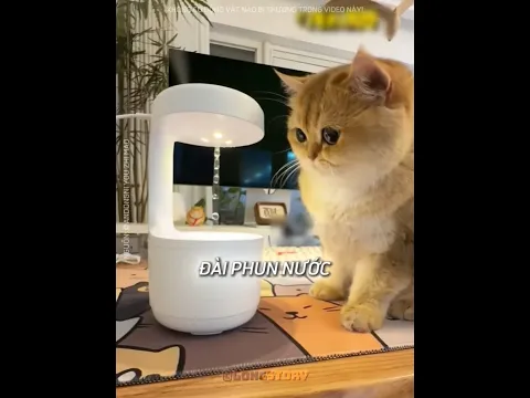 Cô gái này đã nảy ra một ý tưởng độc nhất để khiến những chú mèo uống nước 💡 😍