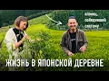 Download Lagu ЖИЗНЬ В ДЕРЕВНЕ В ЯПОНИИ! Один день на чайной плантации