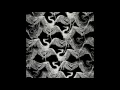 Download Lagu Birds Of Mind - Ankara (Stavroz Remix)
