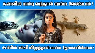கனவில் பாம்பு வந்தால் பயப்பட வேண்டாம் !