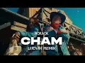 Download Lagu ROXAOK \u0026 SOBOTA - CHAM (Ludvik Remix)