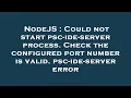 NodeJS Could not start psc-ide-server process Check the configured port number is valid psc-ide-