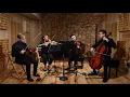 Mozart String Quartet No. 15 in D minor K.421, Abeo Quartet