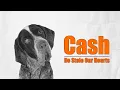 Cash Wasn t a GSP But He Stole Our Hearts Anyway