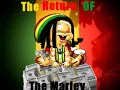 Young Marley Ft.BoneBlaze 'Burn It Down'.wmv