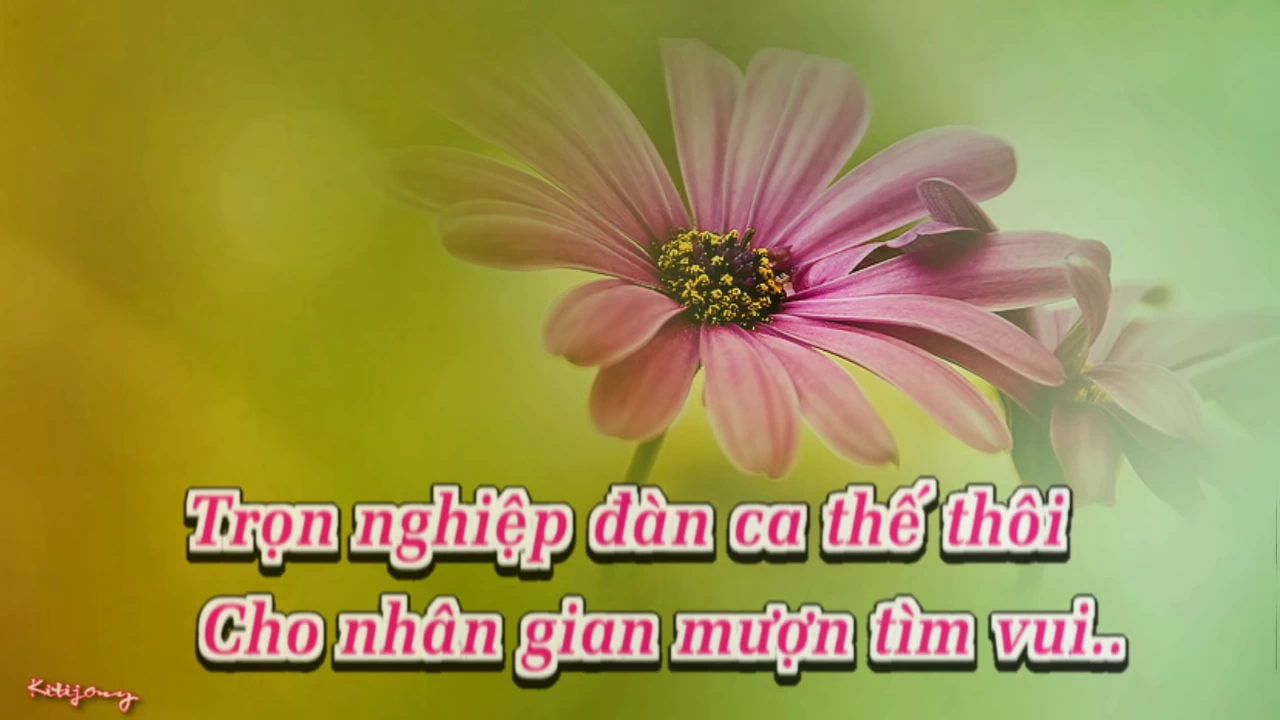 Đoạn Buồn Cho Tôi -bé Mèo