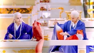 ثعلبه كيوته بتتعرض للهجوم من وحش خطير لكن شاب وسيم بينقذها وبياخدها للبيت بتاعه تعيش معاه ملخص مسلسل 